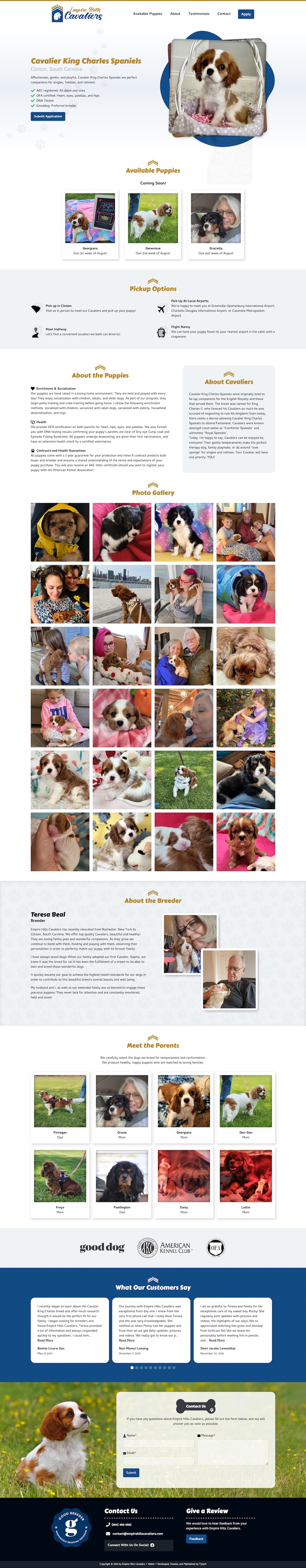 Website developed by TyTech